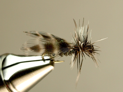 Deer Fly - tied by Bob Smock