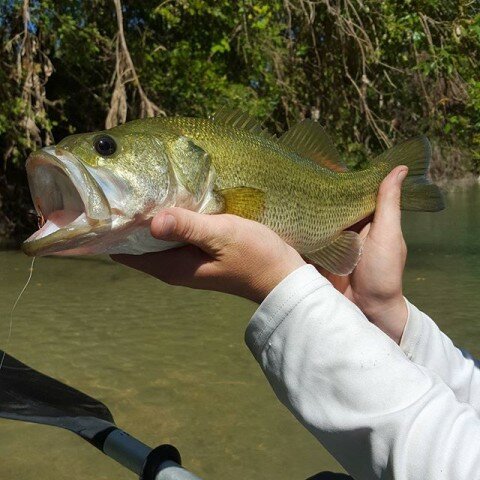 @houstonflyfishing