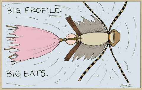 cowboy_wayne_mouse_fly_pattern_panel-8