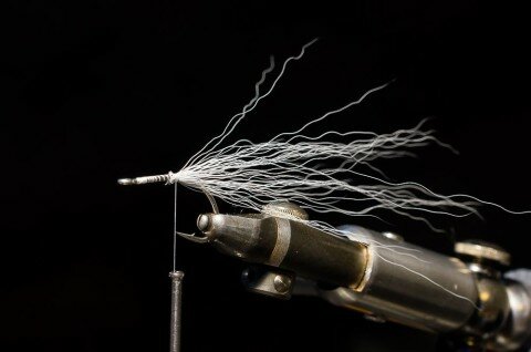 A sparse clump of pearl gray bucktail.