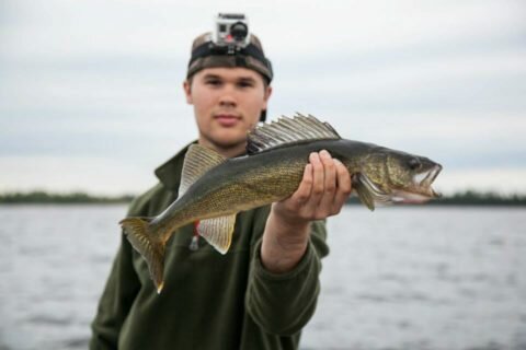 Canadian Walleye 1