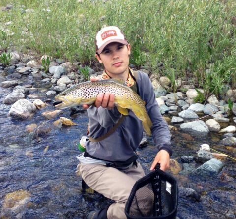 Madison River Brown