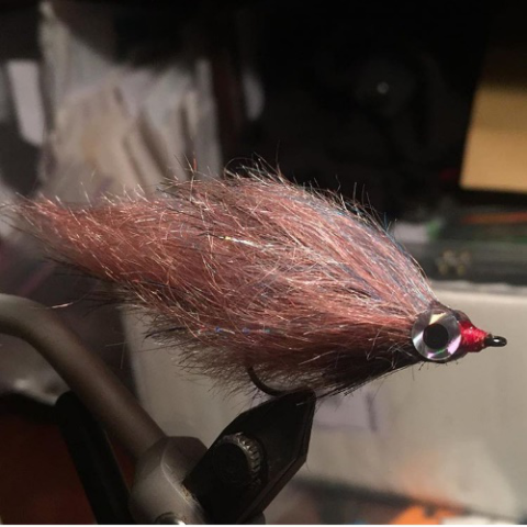 Homegrown fly I tied using Pygora Streamer blends and goat beard fibers.