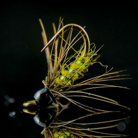 Soft Hackle Pupa